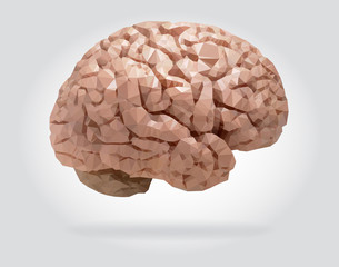 Wall Mural - Human brain vector isolated geometric illustration