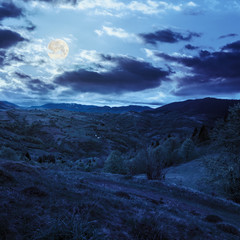 Wall Mural - field near home in mountains at night