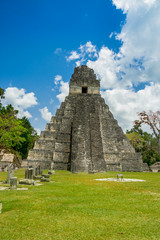 Wall Mural - tikal mayan ruins in guatemala