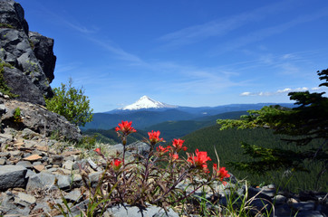 Mt. Hood