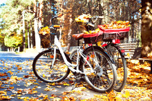 Two Walking Bicycles In Autumn Park With Yellow Leaves In Basket