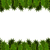 Fototapeta Do akwarium - Christmas background with spruce branches