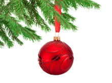 Red Decorations Christmas Ball Hanging On A Fir Tree Branch Isol