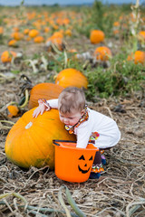 Sticker - Pumpkin patch