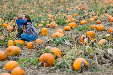 pumpkin patch