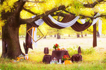 Decorated table for a romantic dinner under the oak in autumn Pa