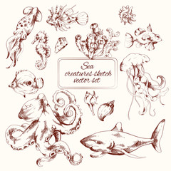 Poster - Sea creatures sketch