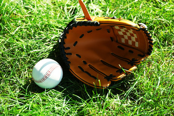 Wall Mural - Baseball bat, ball and glove on green grass background