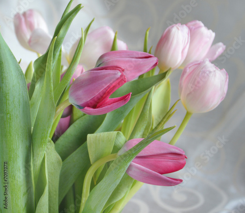 Naklejka samoprzylepna Jasnoróżowe tulipany