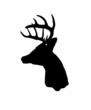Whitetail Deer Silhouette