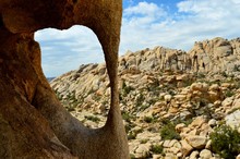The View Of Rocks  (Joshua Tree National Park)