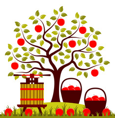 Wall Mural - apple harvest