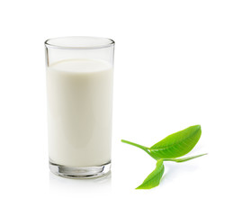 Poster - glass of milk and green tea leaf isolated on white background