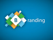 BRANDING (marketing strategy image management)