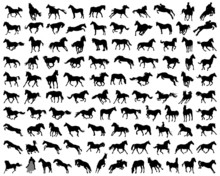 Big Set Of Horses Silhouettes, Vector Illustration