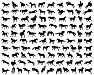 big set of horses silhouettes, vector illustration