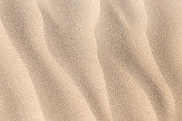 Sticker - beautiful background of sand in the desert