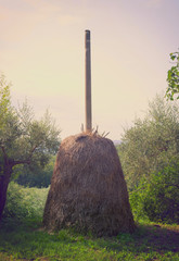 Hay in stack