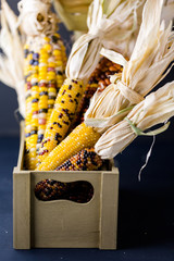 Wall Mural - Flint corn