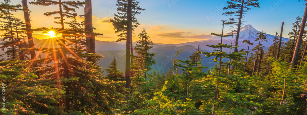 Beautiful Vista of Mount Hood in Oregon, USA. - obrazy, fototapety, plakaty 