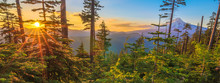 Beautiful Vista Of Mount Hood In Oregon, USA.