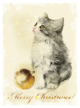 Christmas Card  With Fluffy Kitten And Golden Ball. Vintage Styl