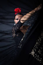Young Flamenco Dancer In Beautiful Dress On Black Background.