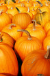 © Chee-Onn Leong - Pumpkin..