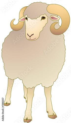 羊 正面 Buy This Stock Vector And Explore Similar Vectors At Adobe Stock Adobe Stock 羊 正面 Buy This Stock Vector And Explore Similar Vectors At Adobe Stock Adobe Stock