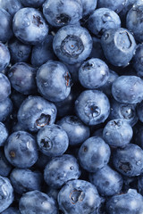 fresh washed blueberries from above