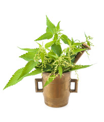 Poster - nettle in a mortar