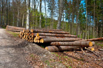 Wall Mural - Firewood