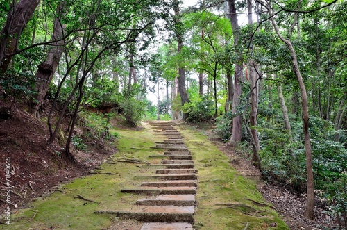 Obraz w ramie Kamienne schody w parku - Japonia
