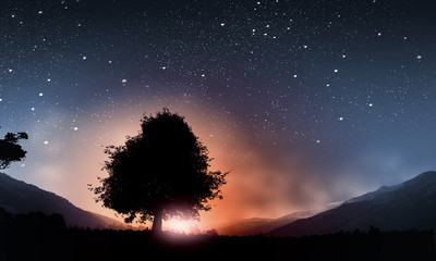 Wall Mural - natural landscape