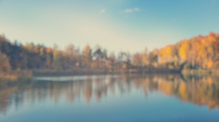 Wall Mural - Defocused autumn view with vibrant golden, orange colors and bok