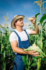 Poster - Farmer inspecting corn plant in field