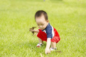 Adorable baby boy pick leaf up on the grass