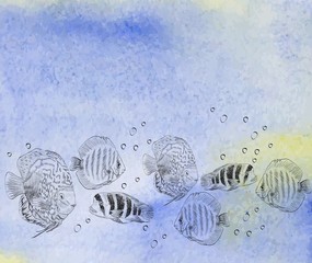 Wall Mural - sketch of a fish