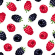 Seamless background with raspberry and blackberry. Vector.
