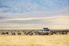 Safari Tourists On Game Drive In Ngorongoro