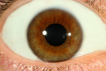 Poster - Human eye close-up