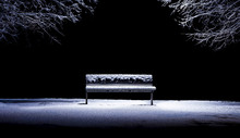 Isolated Bench In A Park After A Snowfall