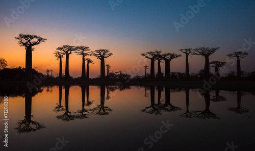 Tapeta ścienna Zachód słońca nad aleją baobabów, Madagaskar.