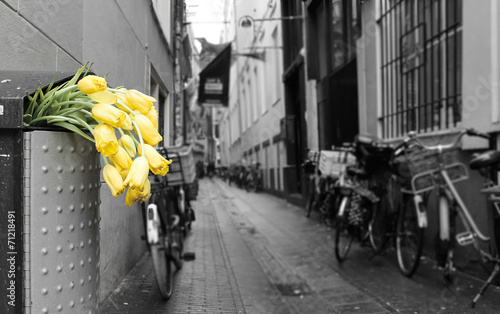 Fototapeta na wymiar Calles de Amsterdam