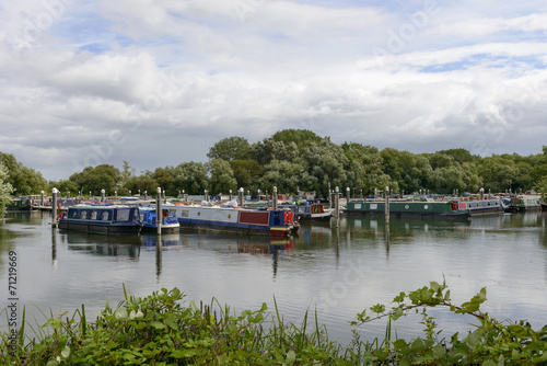 Fotografie, Obraz narrow boats at Thames and Kennet Marina, Reading