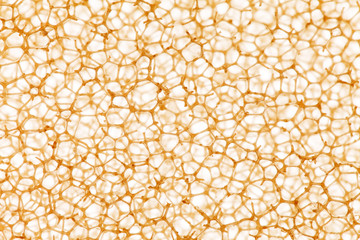 cell background