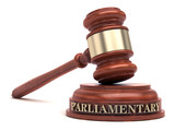 Fototapeta  - Parliamentary law
