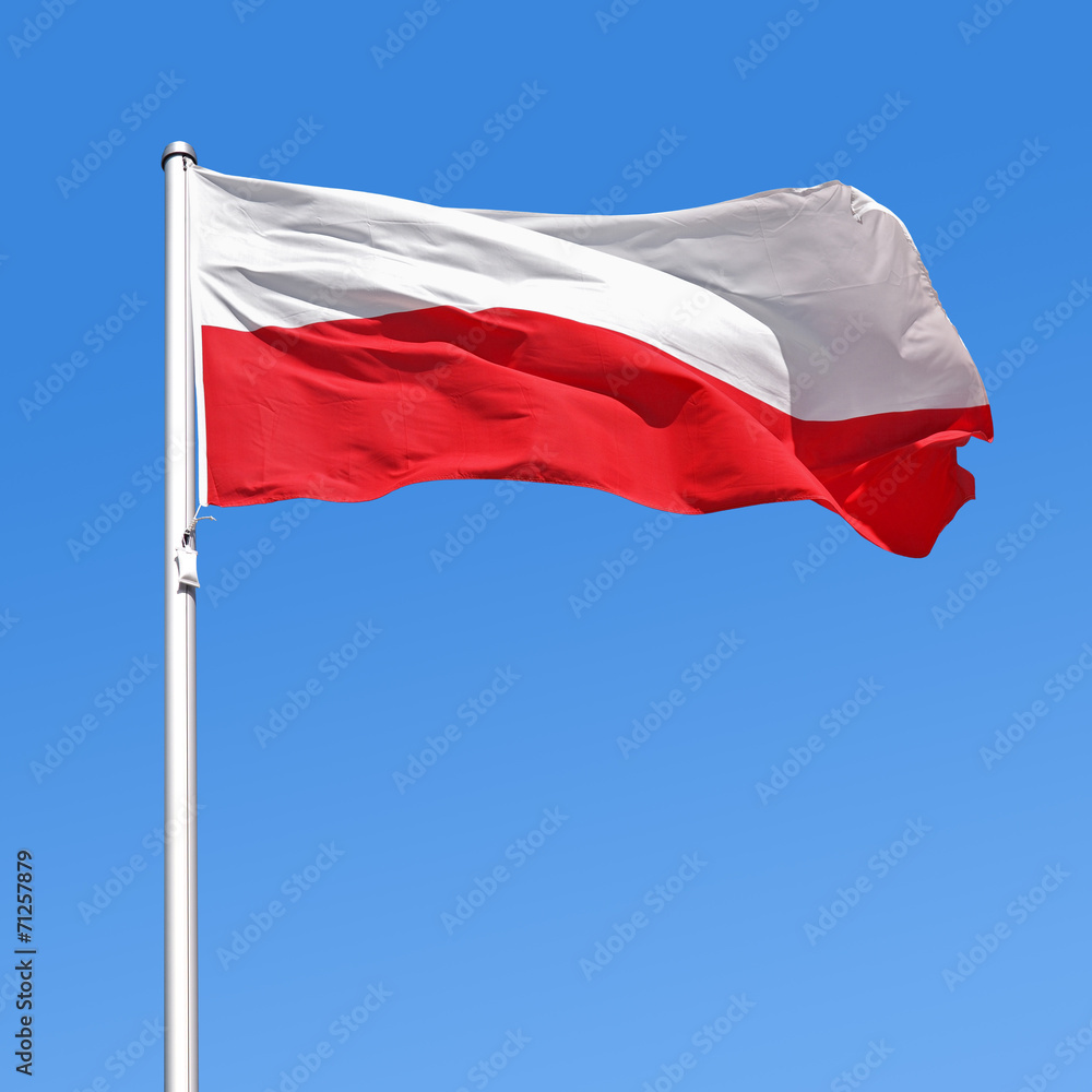 Wehende Flagge von Polen - obrazy, fototapety, plakaty 