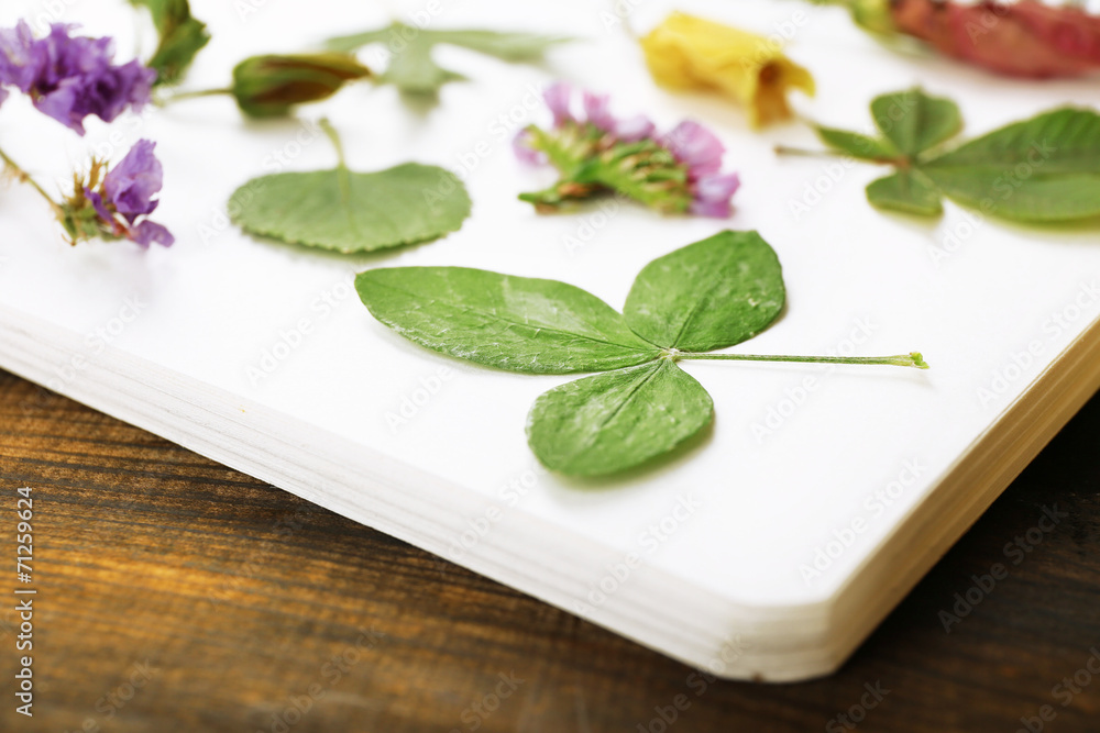 Dry up plants on notebook on wooden background