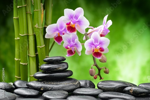 kamienie-zen-kwiaty-i-bambus-w-tle
